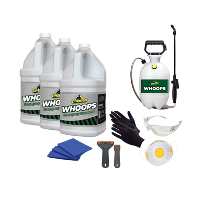 Overspray Remover Kit